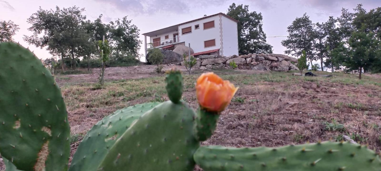 Quinta Do Cadaval Corticos